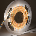 Top5 China Hot Sales SMD 2835 CCT Adjustable LED Strip Lights